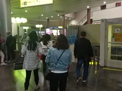 -谢列梅捷沃国际机场