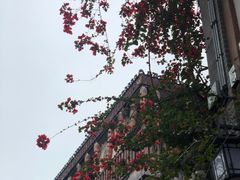 -磁器口古镇