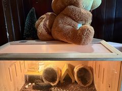 -潭子茶屋(天台店)