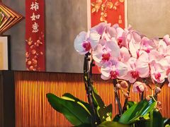 -庐灶江南·江南菜·四合院Bistro(东直门·华侨夜泊君亭店)