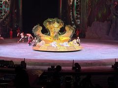-广州长隆国际大马戏
