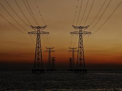 -宝安西湾红树林湿地公园