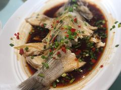 -眉州东坡(民族园店)