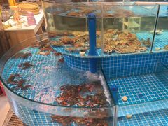 -蓝珊甄选海鲜自助·火锅大排档(近阿那亚店)