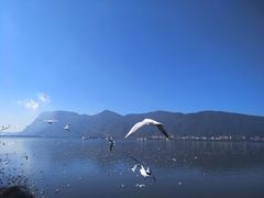 -怡得饭庄·宋大妈昆明菜·始于1996(滇池海埂大坝店)