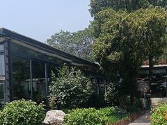 -蘇河湾·新鲁菜·泰山宴(泰山店)