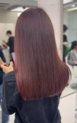 -潘多拉Hairsalon