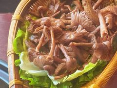 -滇野云南野生菌餐厅(陕西南路店)