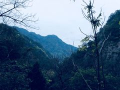 -雁荡山三折瀑景区