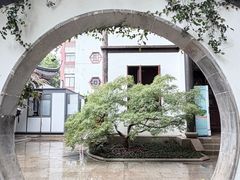 -上海醉白池公园
