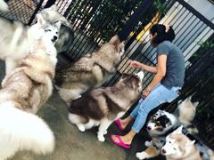 -TrueLove @ Neverland (Husky Cafe)