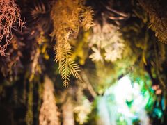 -Husky Go! 哈士奇体验馆·宠物咖啡厅狗咖