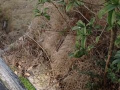-梅岭月亮湾山体公园