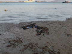 -在海一方公园