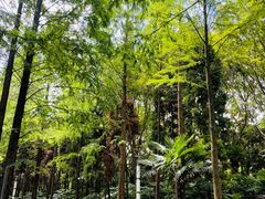 -苏州河梦清园环保主题公园