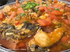 -椿记烧鹅(叠彩店)