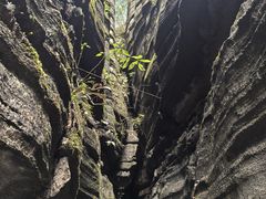 -梭布垭石林景区