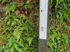 -南北湖风景区