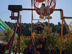 -南山特攻真人CS户外露营轰趴拓展基地