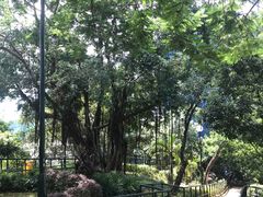 -讯号山花园