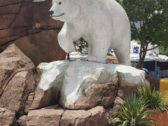 -海合安成都极地海洋公园