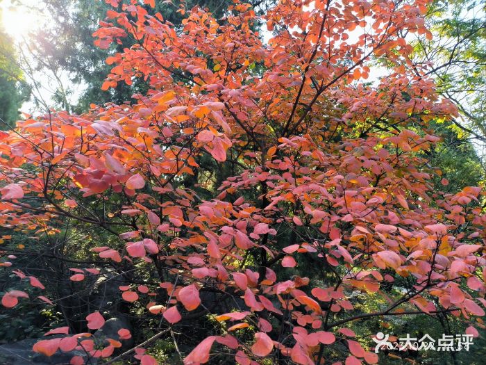千佛山风景名胜区图片