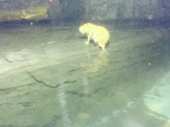-泉城欧乐堡海洋极地世界