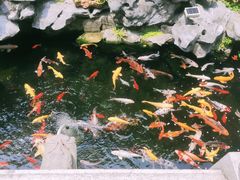 -西林禅寺