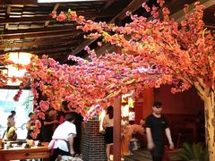 -三道苗苗鱼·美蛙黄辣丁(八里店)