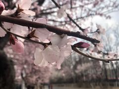 -鸣记脆皮烤鱼(岐山路店)