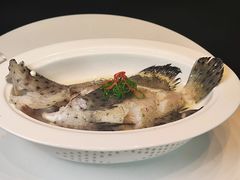 -君庭中餐馆(华强路店)