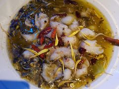 -桂满陇天书(南京德基旗舰店)
