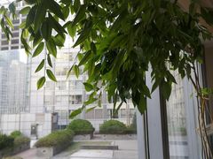 -精德口腔·种植修复·儿牙中心(财富中心店)