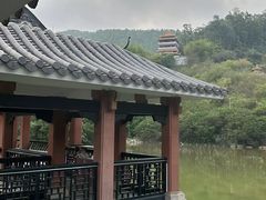 -水濂山森林公园