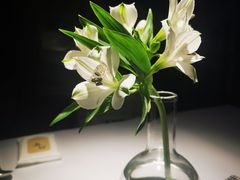 -月芽·自由餐厅·西溪湿地餐厅