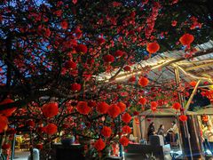 -凤来栖·净庭院·火锅(欧尚店)