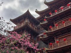 -大佛寺高级素食自助餐厅
