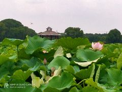 -嘉北郊野公园
