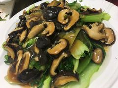 -烁佳海鲜大馅饺子