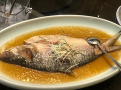 清蒸鲥鱼-清水蘭軒