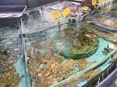 -食鼎记海鲜大排档(美食街店)