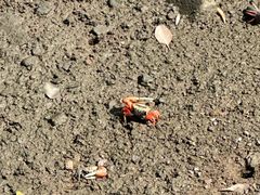 -东寨港红树林旅游区