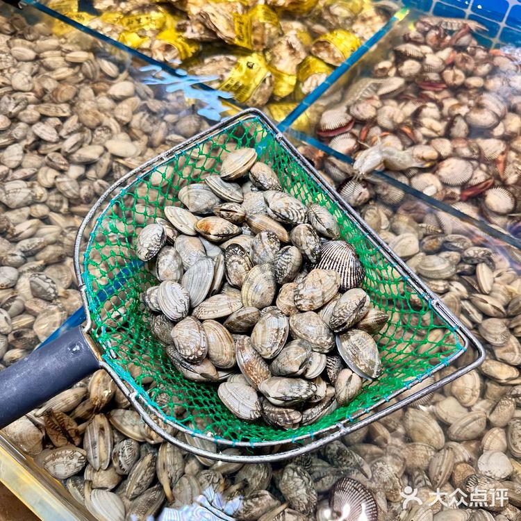 沈阳烧烤都细分赛道了，我站海鲜这条！鲜迷糊🔥