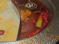 -麻田会 ·鲜活现烹·牛蛙火锅(珠江新城维家思广场店)