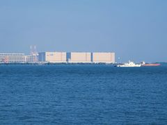 -大湾区中央湿地公园
