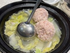 -丁老爷子苏香圆