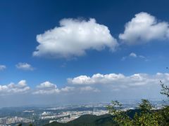 -阳台山森林公园