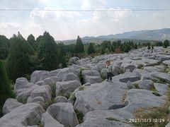 -原山国家森林公园