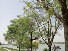 -渭河城市绿地运动公园