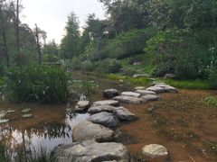 -云溪植物园